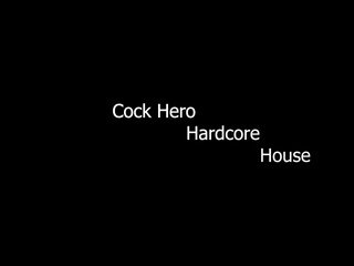 cock hero - hardcore house